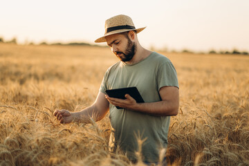 A farmer stands in a wheat field and looks at a clipboard. Grain harvest.