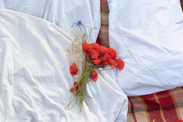 Wild landscapes in west Europe