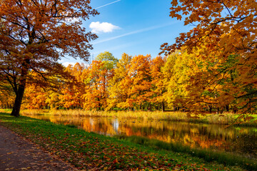 Catherine park in autumn foliage, Pushkin, Saint Petersburg, Russia