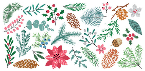 Christmas winter floral plant  vector collection - 523251075