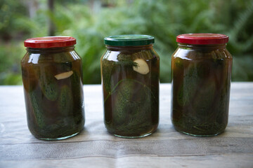 The process of canning pickled gherkins for the winter, pickles cucumbers in glass jars close-up.