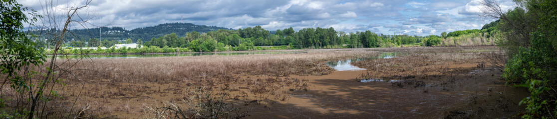 Fototapeta premium Oaks Bottom Wildlife Refuge in Portland, Oregon