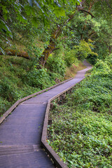 Walkway in Oaks Bottom Wildlife Refuge in Portland, Oregon