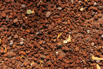 yellow autumn leaves on a red crumb in the park. fallen leaves in a Turkish park