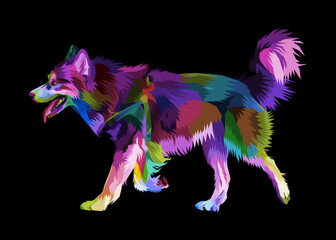 colorful husky dog on pop art style geometric. Polygonal Animals. © ano