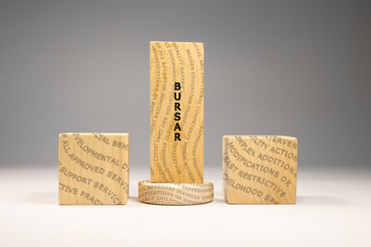 Bursar Written on wooden surface. Education and concept.