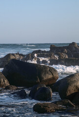 atardecer en la playa con gaviotas en las rocas y olas rompientes en el otoño