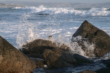 atardecer en la playa con gaviotas en las rocas y olas rompientes en el otoño