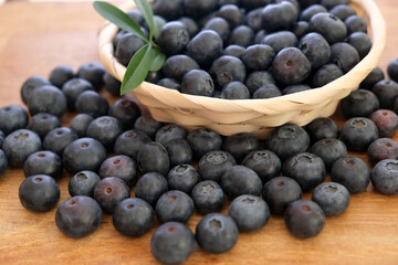 Juicy ripe blueberries in plate, close-up selective focus.