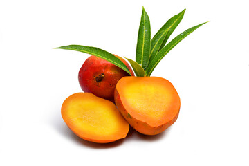 Isolated Willard mangos on white background.