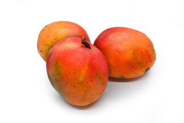 Isolated Willard mangos on white background.