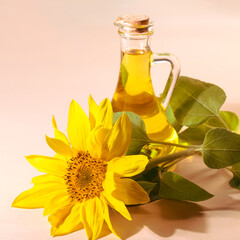 Bottle of sunflower oil and sunflower flowers on a beige background.Space for text