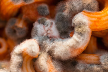 Pasta with mold, spoiled pasta close-up, green mold