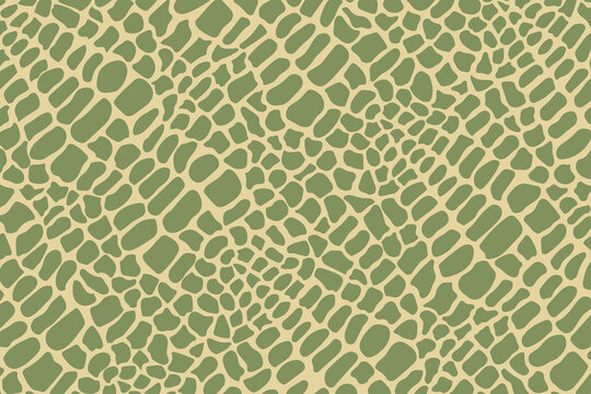 Green color reptile skin texture vector image