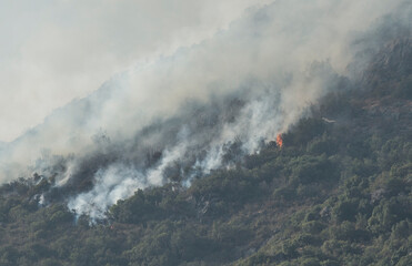 Fototapeta na wymiar forest fire on a mountain