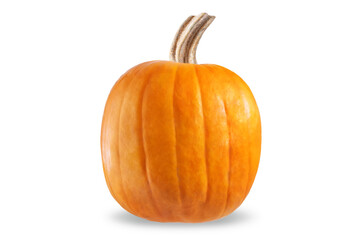 Fresh pumpkin on a white isolated background
