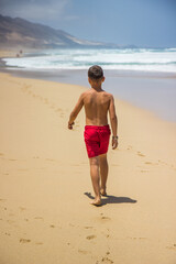 Fototapeta na wymiar playa de Cofete en Fuerteventura
