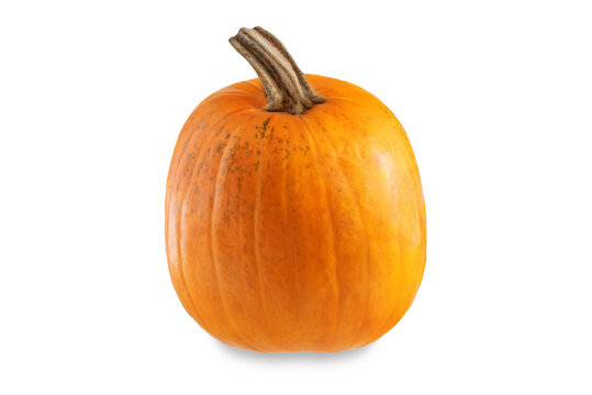 Fresh pumpkin on a white isolated background