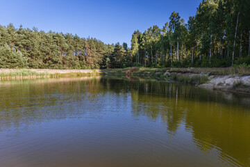 Fototapeta na wymiar Pond in Wegrow County in Mazowsze region of Poland