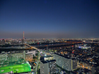 タワーホール船堀の展望台からの荒川と東京都心の夜景の