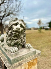 Lion statue at the entrance to winery in Texas.  Wine country,