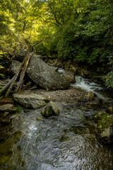Naklejka na ściany i meble Enloe Creek Flows Around Large Boulders and Downed Trees