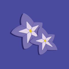 Beautiful flower-like purple star illustration