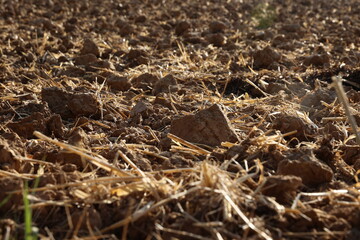 Drought in Europe - dry soil terrain in the field