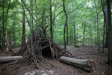 Wooden shelter made in the middle of the forest ecological living concept tent in the woods in summer