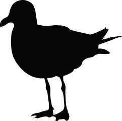 a seagull body silhouette vector