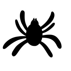 Black spider