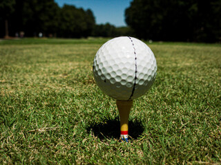 View of a Golf ball on a tee at ground level on a sunny day with green grass on teebox.