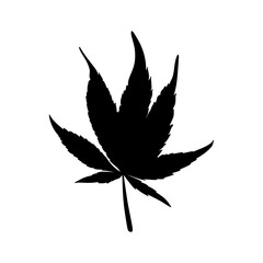 cannabis leaf vector illustration