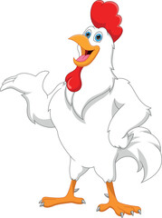cute chicken cartoon on white background