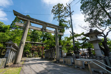 針綱神社の鳥居