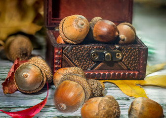acorns in a small box and on the wooden table, fall concept, fall decoration