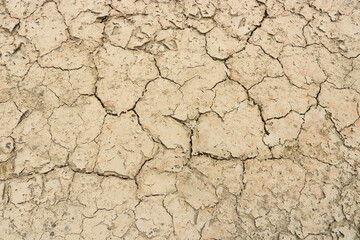 ひでりの畑　ひび割れた土　砂漠化水不足