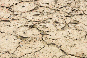 ひでりの畑　ひび割れた土　砂漠化水不足