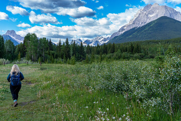 Beautiful bombshell blonde woman hiker contemplates and decides where to go next, in a grassy trail with wildflowers, in Kananaskis Country Canada