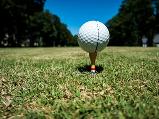 View of a Golf ball on a tee at ground level on a sunny day with green grass on teebox.