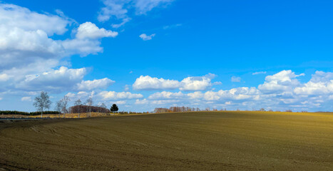 Obraz premium landscape with a sky