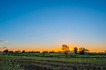 Obraz premium morning sun and green meadow