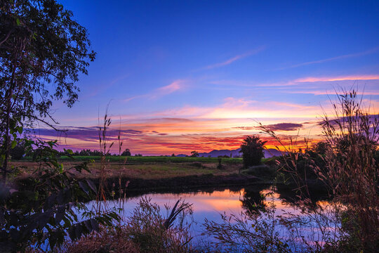 morning sun and green meadow