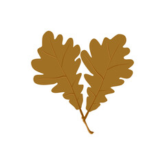 Fototapeta premium Autumn oak leaves. Composition of autumn foliage with oak leaves. Top view of autumn foliage. Colored flat vector illustration isolated on white background