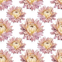 Seamless pattern watercolor boho dry flower on white background. Hand-drawn pink purple herbarium plant for wedding celebration card. Creative art for wallpaper wrapping sketchbook, decor interior