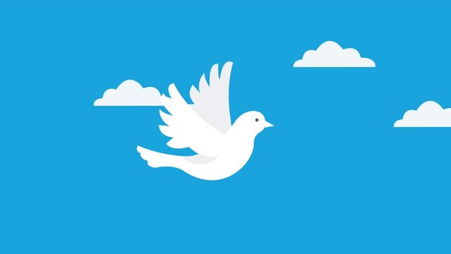 peace animation with dove flying