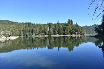 reflection of trees in the lake