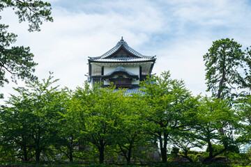 Fototapeta na wymiar 日本の古い城
