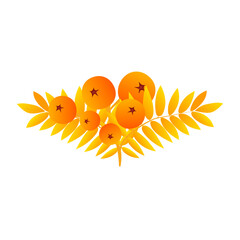 Rowan berries, twigs with leaves, golden autumn