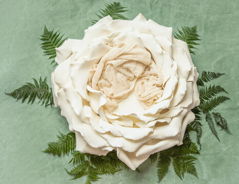 big white flower as digital backdrop or background for newborn baby photography, newborn photo setup and decorations. High quality photo